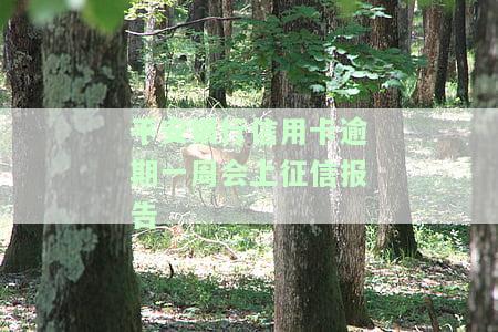 平安银行逾期一天,最后还款会影响信用、额度和信用卡吗？2021年的解答