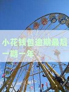 小花钱包逾期最后一期一年如何处理？已经逾期一年会继续被催收吗？