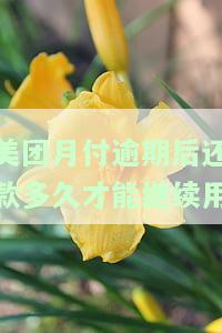 美团月付逾期几天后还款了，多久可以再次使用？