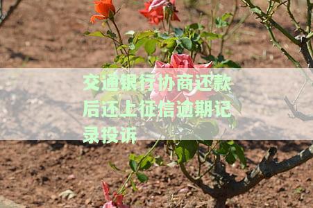交通银行协商还款后还上征信逾期记录投诉