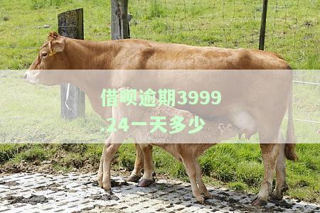 借呗逾期一天罚息是多少？详细解析及正常水平