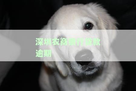 农商银行贷款逾期的后果及处理方法