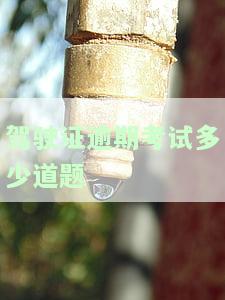 驾驶证超期考试：内容、科目一及异地考试规定，全攻略及题库