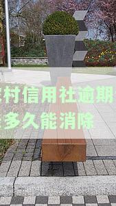 农村信用社逾期多久会影响征信？最新规定与影响解析