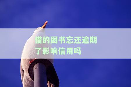 借的图书忘还逾期了会影响信用吗？如何解决？