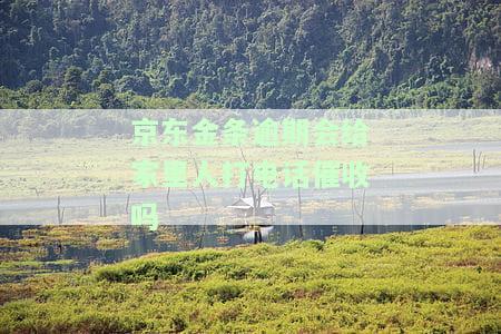 京东金条逾期会否给家里人打电话催收？真实情况如何？