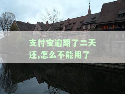 支付宝逾期2天后还款，能否继续借款？额度会受影响吗？