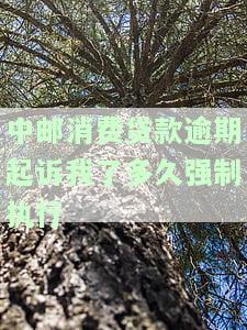 中邮消费贷款逾期起诉我了多久强制执行？案件已申请排期开庭
