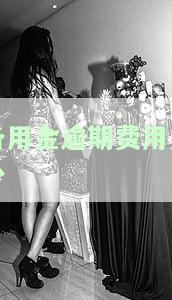 备用金逾期费用多少合理？详细解析及计算方法