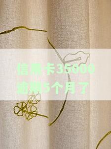 信用卡35000逾期5个月了