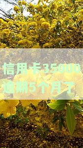 欠信用卡欠5个月未还，会有什么后果？