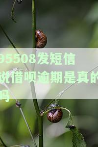 借呗短信电话：真假辨析与号码查询