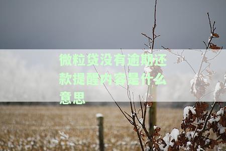 微粒贷没逾期,却借不出款？可能的原因是什么？