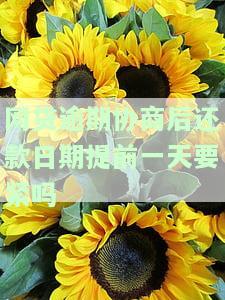 网贷提前协商还本金技巧：全面指南与实用方法