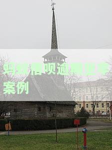 蚂蚁借呗逾期坐牢案例深度分析报告