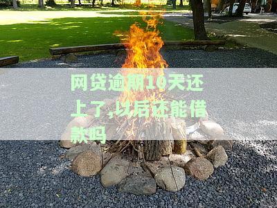 网贷逾期10天还上了,以后还能借款吗-网贷逾期10天还了影响大吗