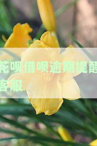 花呗借呗催还客服：工作内容、电话号码一览