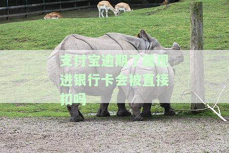 支付宝逾期了，余额还能提现吗？安全吗？怎么办？
