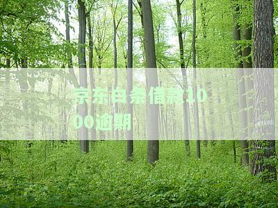 京东白条借款1000逾期解决方法及后果解析