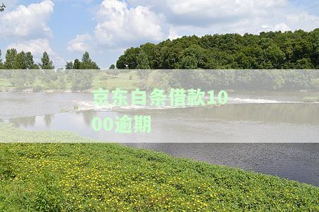 京东白条逾期1000块钱会去家里吗？逾期多久会起诉？