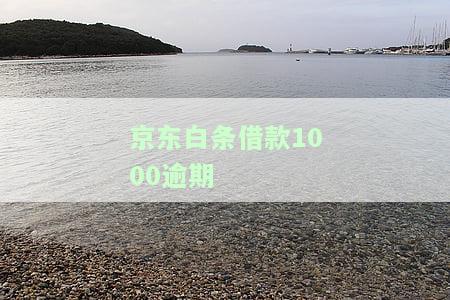 京东白条借款1000逾期