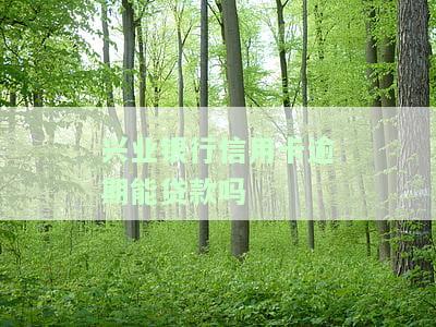 兴业银行信用卡逾期能否贷款？现在如何处理及还款？逾期后还能继续使用吗？