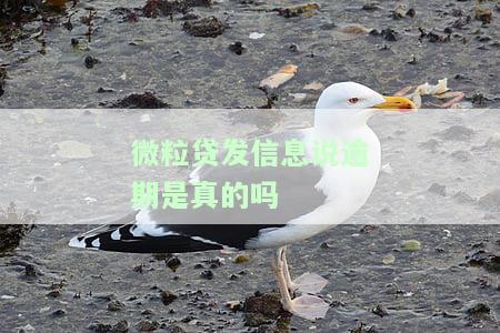 微粒贷逾期发短信：户籍地发送相关文件，可能涉及村委会、乡政府和诉讼，需谨慎应对。