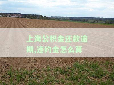 上海公积金还款逾期：违约金计算方法及可能的补扣情况
