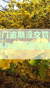 澳门逾期未交罚款的处理及补缴流程