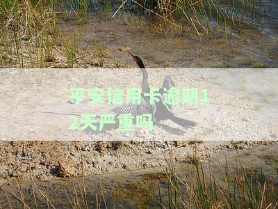 平安信用卡逾期几天算违约？影响信用记录吗？会联系紧急联系人吗？
