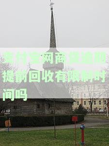 支付宝网商贷逾期提前回收有无限制时间？如何处理提前还款需求？