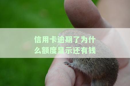 信用卡逾期后仍有额度，无法刷卡消费：原因及解决办法