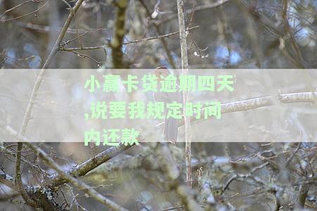 小赢卡贷逾期四天，需在规定时间内还款，否则可能面临更严重的后果，包括但不限于高额罚息、催收电话给家人、影响个人信用等。请尽快还款以免进一步恶化情况。