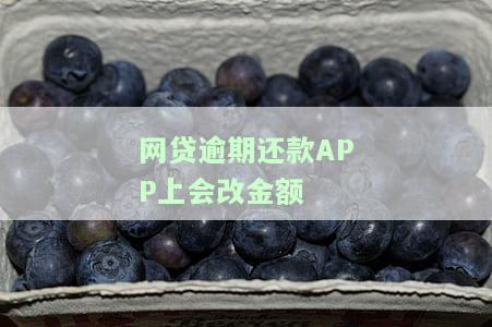 网贷逾期还款APP上会改金额