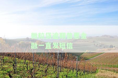 微粒贷逾期：普惠金融一直发短信是真的吗？如何处理警告短信？