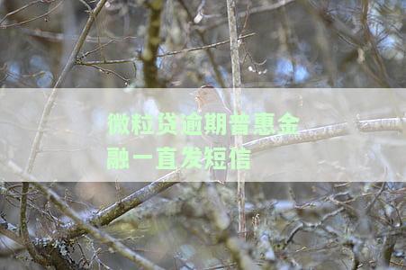 微粒贷逾期系统天天发信息：如何处理及原因解析