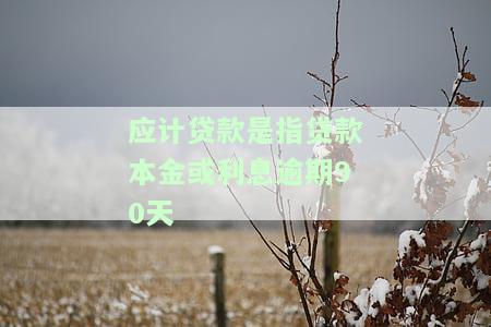 应计贷款：逾期90天未收回的贷款及其规定、区别与利息计算
