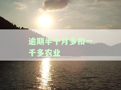 逾期半个月多久修复？影响及解决办法全解析