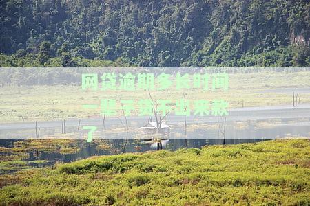 网贷逾期多久就不能贷款？买车、买房都受影响！