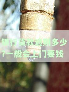 银行贷款逾期多久会接到催款电话？影响及后果解析