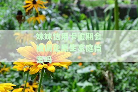 妹妹信用卡逾期会被调走原生家庭档案吗