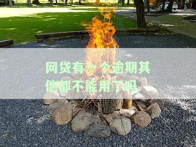 一个网贷逾期是否会影响其他网贷的使用？