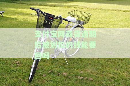 支付宝网商贷逾期后被划扣的钱能否追回？知乎上有解决方案吗？