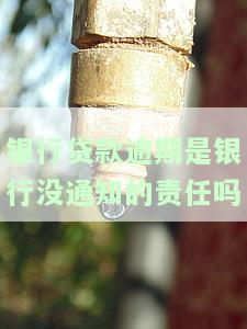 贷款逾期银行未通知：是否有责任？是否违法？