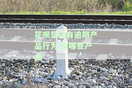 花呗显示有逾期产品行为，哪些产品可以购买？