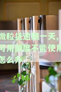 微粒贷逾期一天，可用额度无法使用，如何解决？