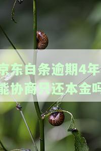 京东白条逾期4年能协商只还本金吗
