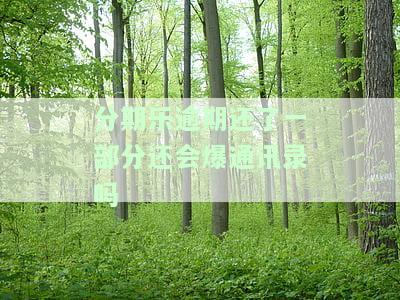 分期乐逾期还款后能否再次借款？全攻略