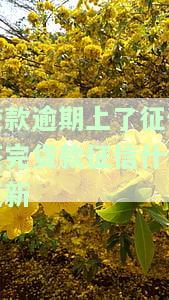 逾期贷款还清后，征信记录多久消失？结清后如何显示？