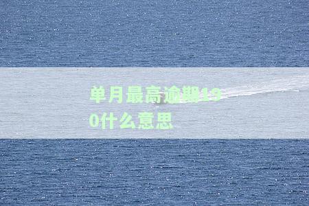 贷款单月最高逾期总额：包括利息、金额、月份及贷记卡情况说明